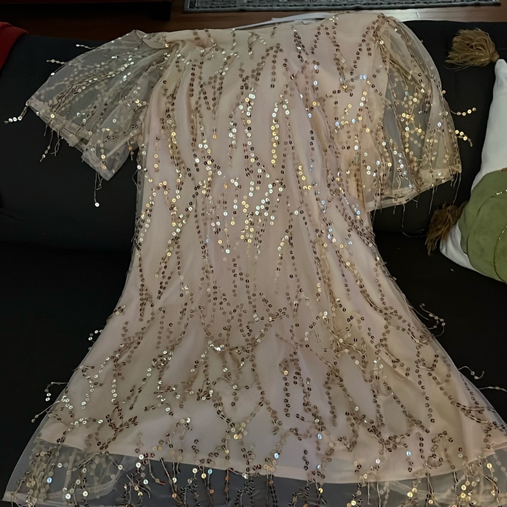 Chic Soul Sequin Dress
